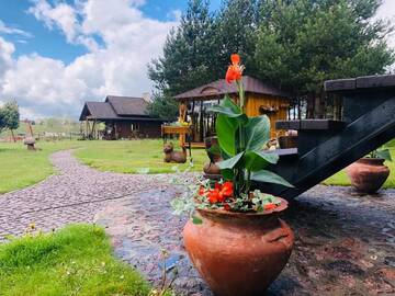 Фото номера Вилла Виллы Villa Lotus г. Žemaitėliai 78
