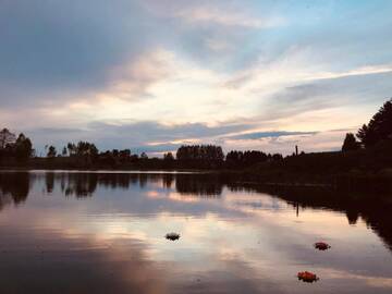 Фото номера Вилла Виллы Villa Lotus г. Žemaitėliai 50