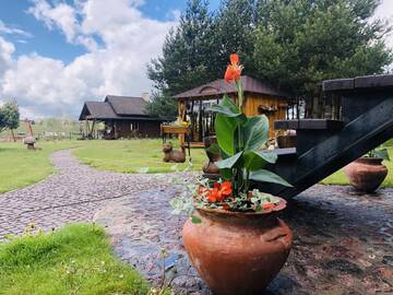 Фото номера Вилла Виллы Villa Lotus г. Žemaitėliai 10
